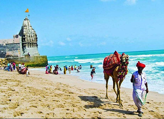 Pilgrimage with Wild Life & Beach