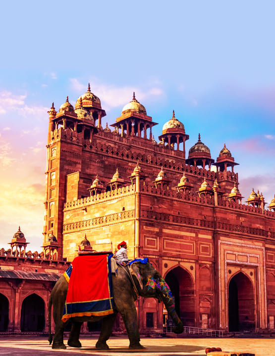 india tour package
