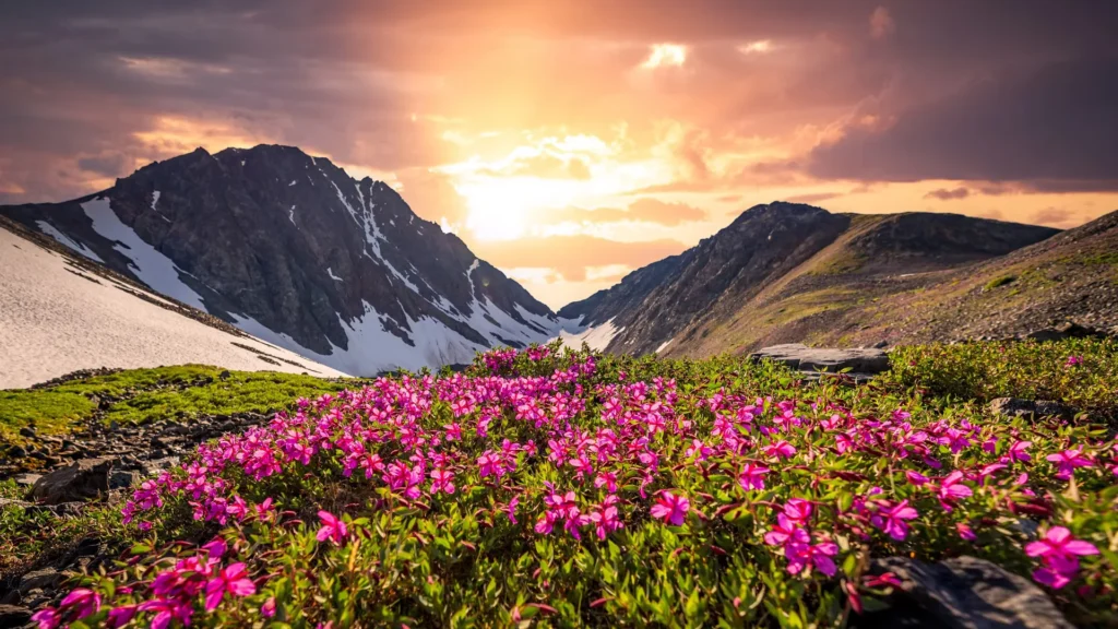 Amazing Uttarakhand